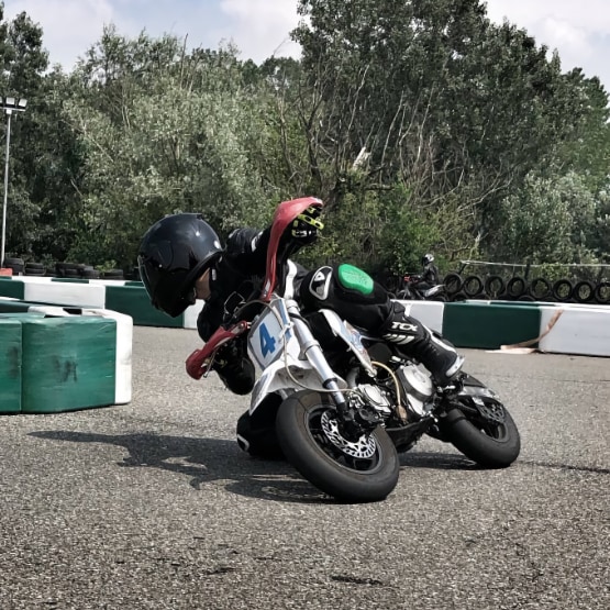 minimotard